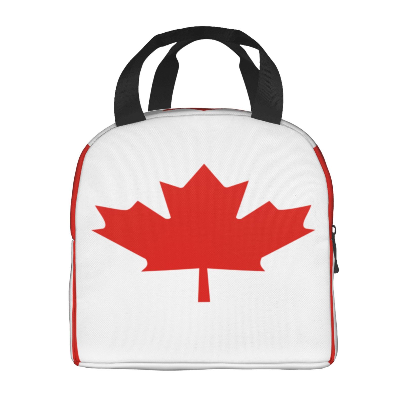 Borsa per il pranzo modello ba - Women Bags Canada recensione e prezzo