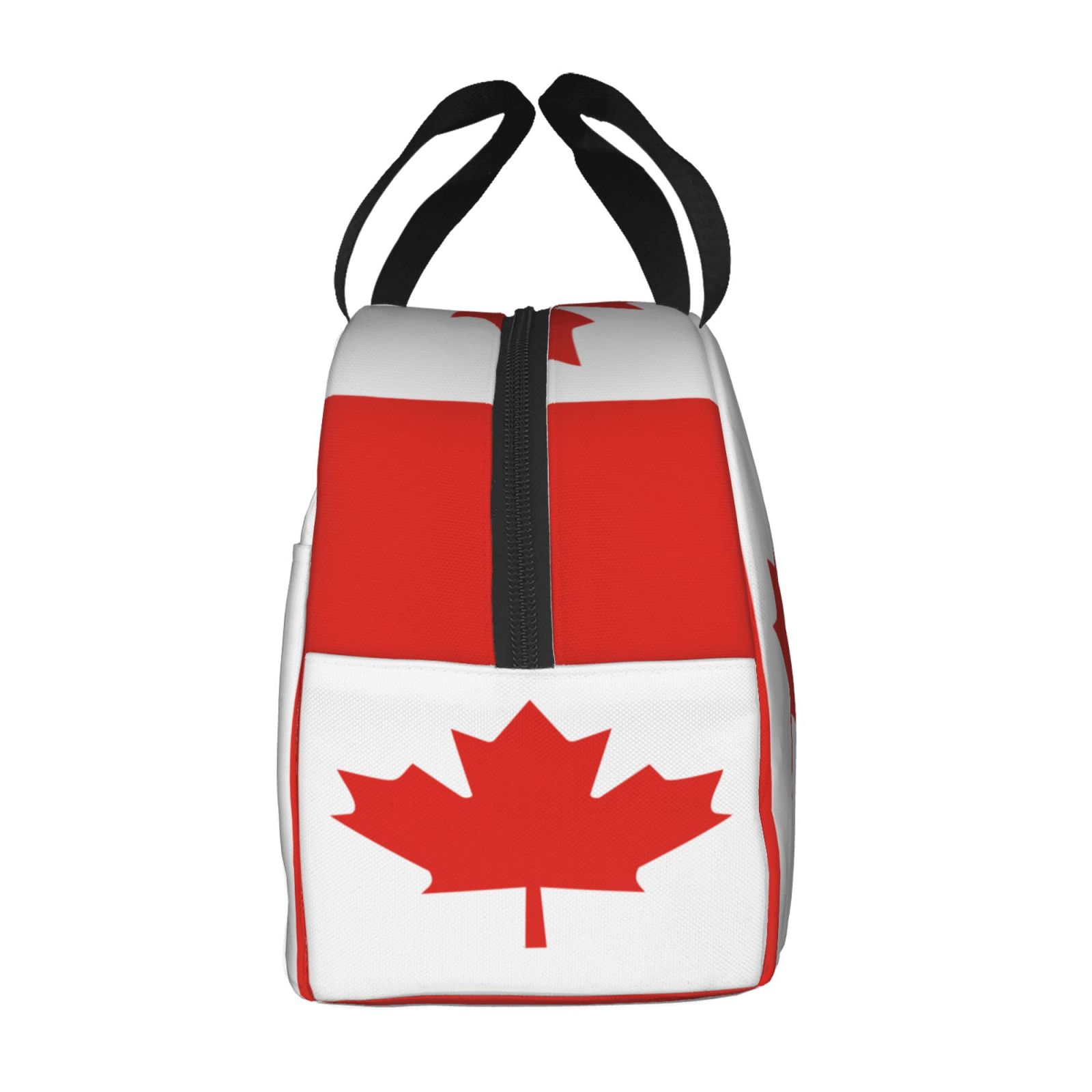 Borsa per il pranzo modello ba - Women Bags Canada recensione e prezzo