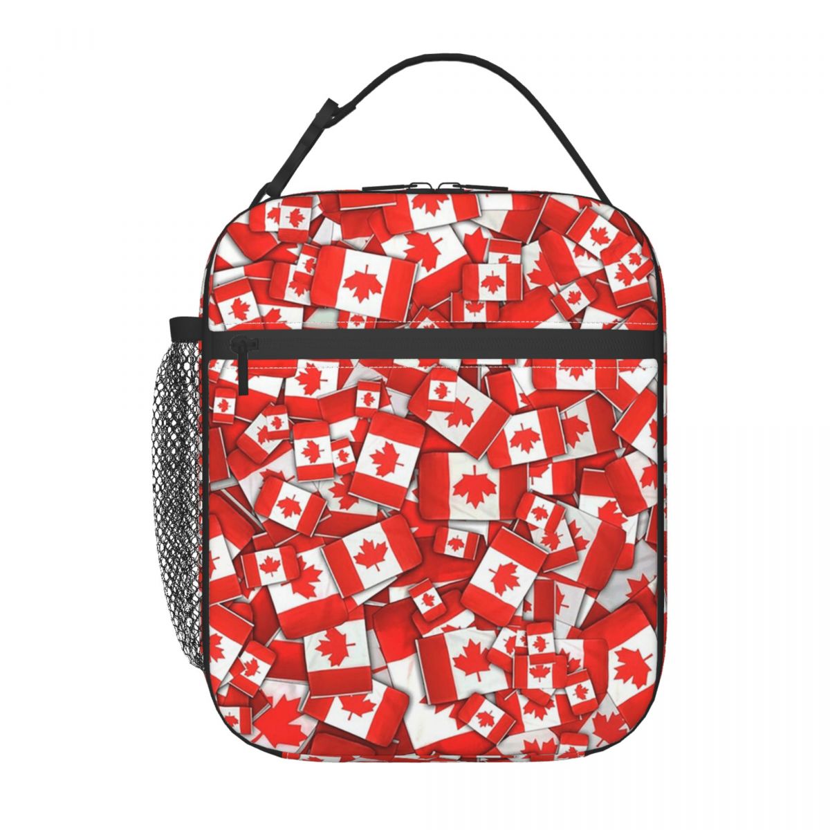 Borsa termica per il pranzo co - Women Bags Canada recensione e prezzo